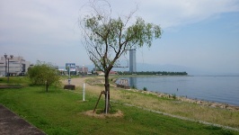 琵琶湖　向こうに見えるは、大津プリンスホテルでは？
