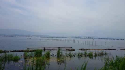 琵琶湖大橋が見えて来た